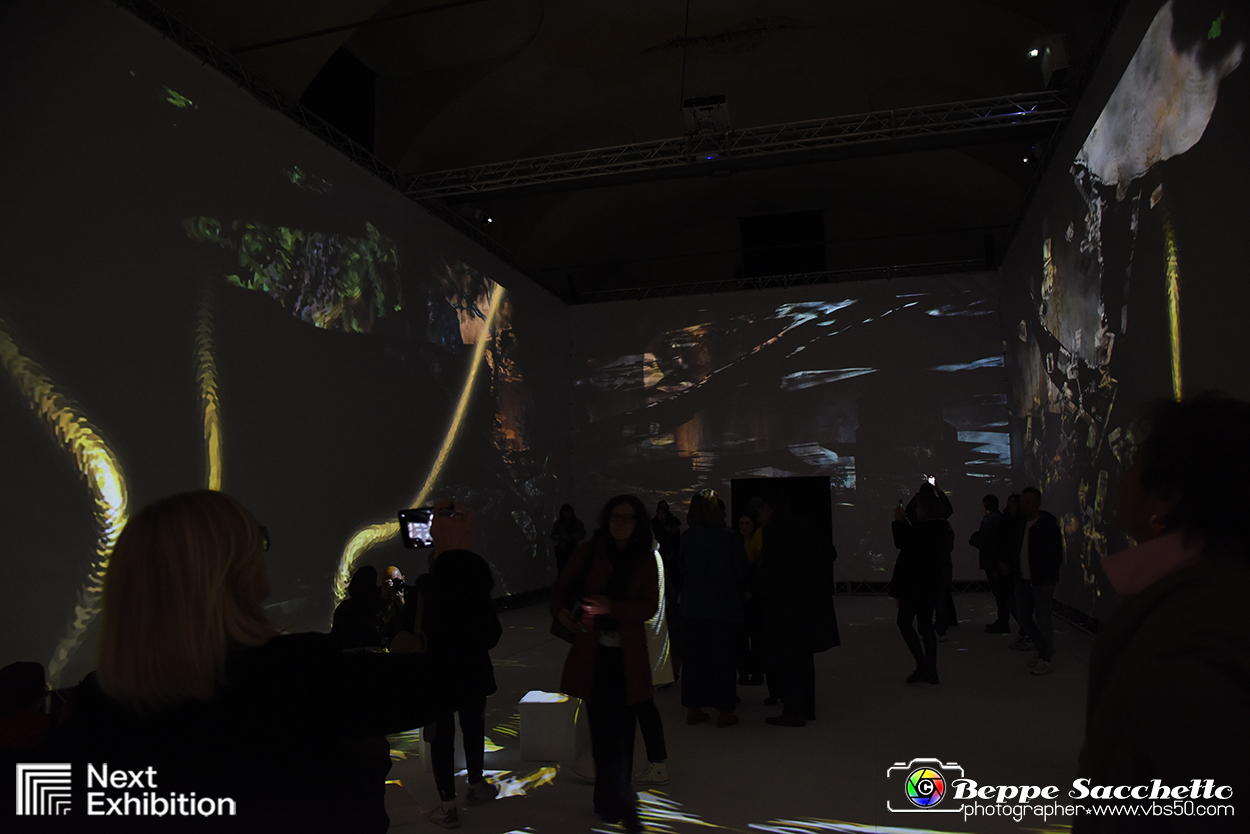 VBS_8065 - Van_Gogh_experience.jpg